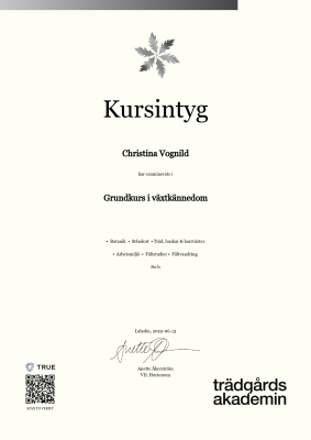 Kursintyg