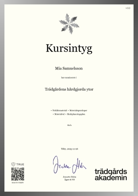 Kursintyg - Canvas