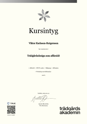 Kursintyg