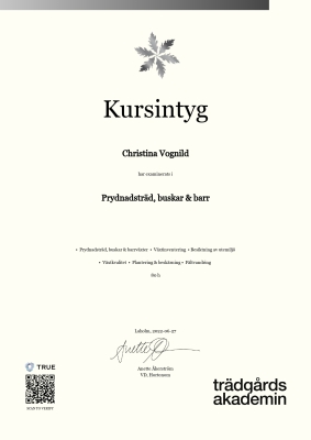 Kursintyg