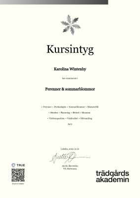 Kursintyg