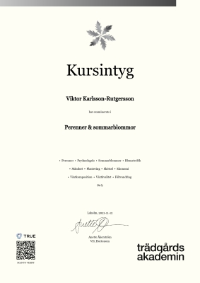 Kursintyg