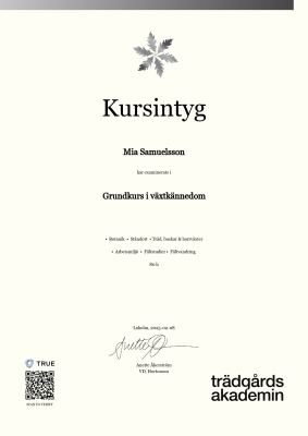 Kursintyg
