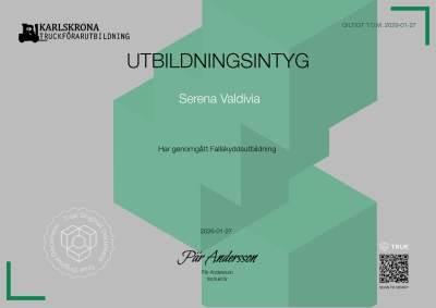 Utbildningsintyg - Fallskydd