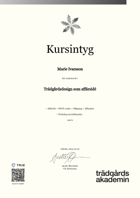 Kursintyg