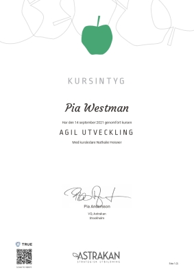 Astrakan Kursintyg