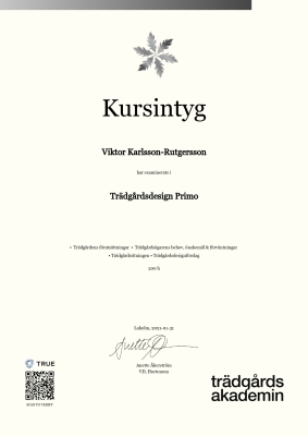 Kursintyg