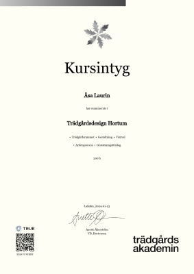 Kursintyg