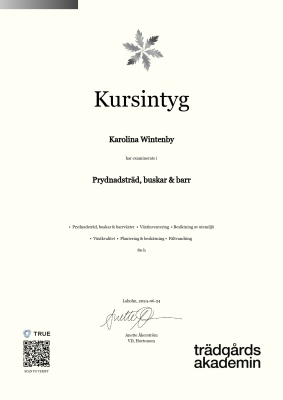 Kursintyg