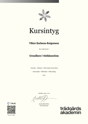 Kursintyg