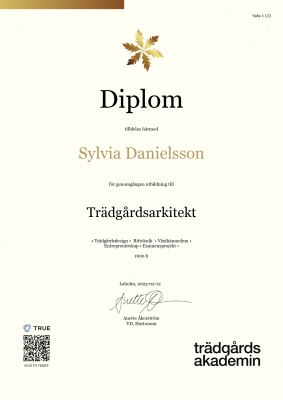 Diplom