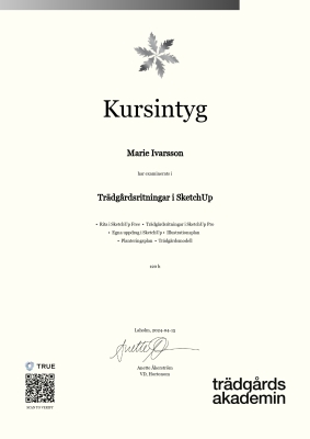 Kursintyg