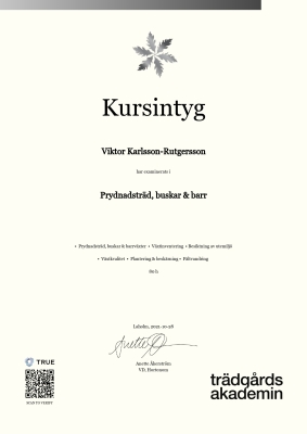 Kursintyg