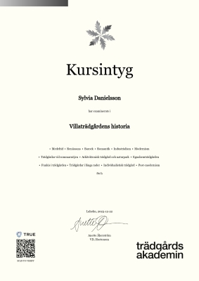 Kursintyg