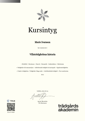 Kursintyg